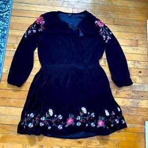 Embroidered velour mini dress